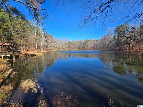 983 County Road 59, Rockford, AL, 35136 | Card Image