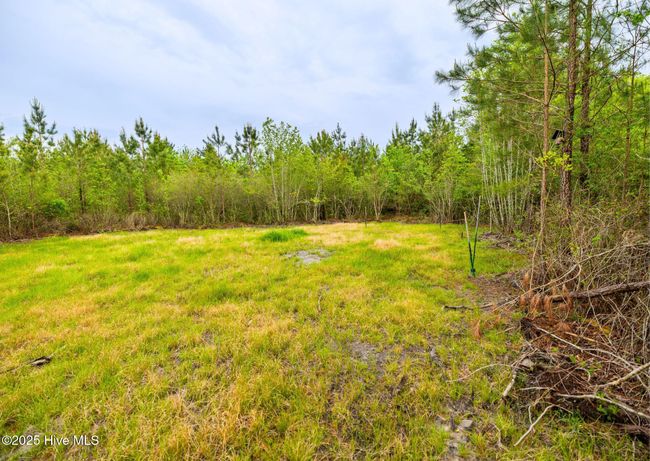 0 Maules Point Rd, Home with 0 bedrooms, 0 bathrooms and null parking in Blounts Creek NC | Image 8