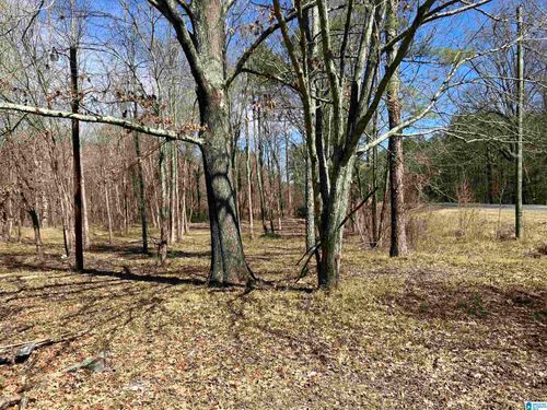 1-4639 Pope Ave, Steele, AL, 35987-2940 | Card Image