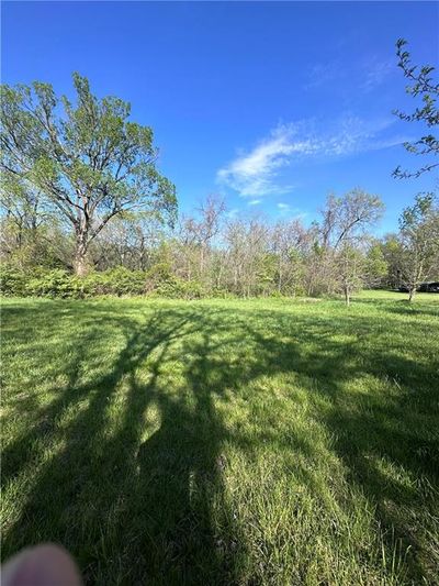 View of yard | Image 1