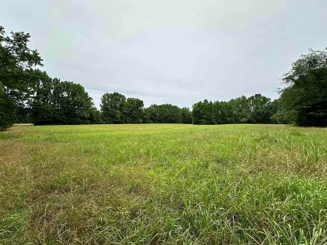 000 Oak Dale Rd, Home with 0 bedrooms, 0 bathrooms and null parking in Lonoke AR | Image 4