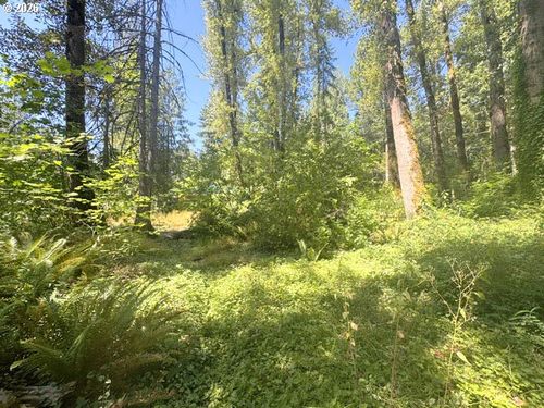 65425 E Timberline Dr E, Rhododendron, OR, 97049-9774 | Card Image