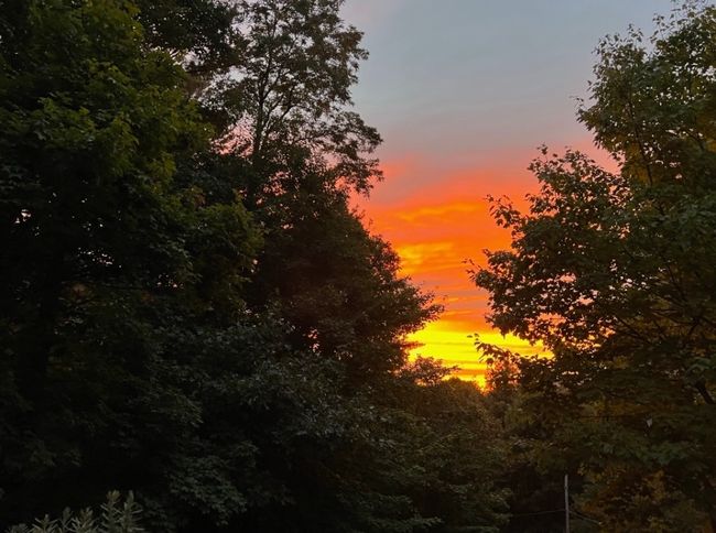 Photo Captured by Seller | Image 20
