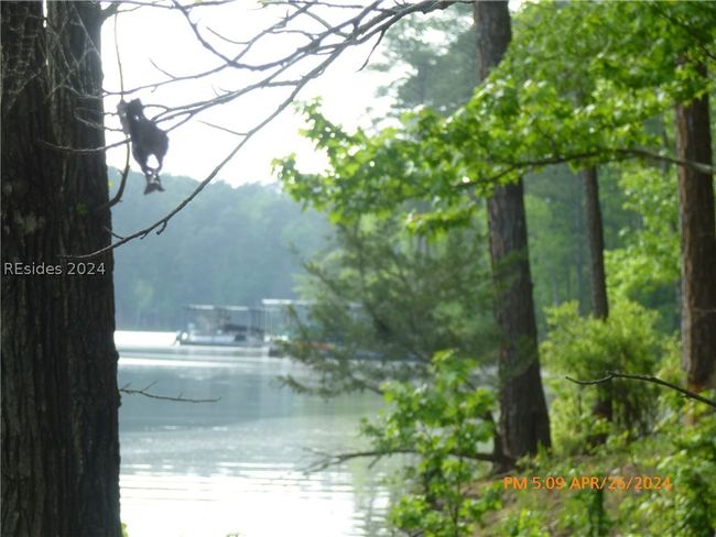 8 Colleen Pt., Home with 0 bedrooms, 0 bathrooms and null parking in McCormick SC | Image 5