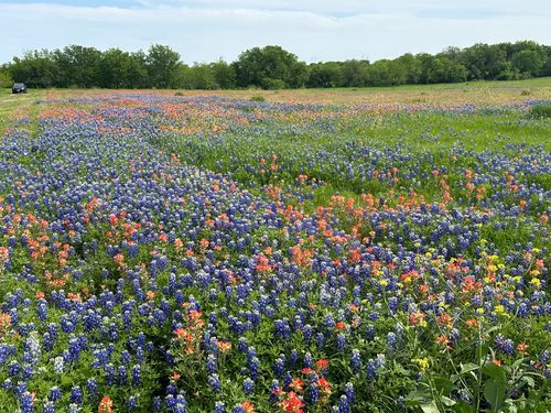 00 Fm 660, Ennis, TX, 75119 | Card Image