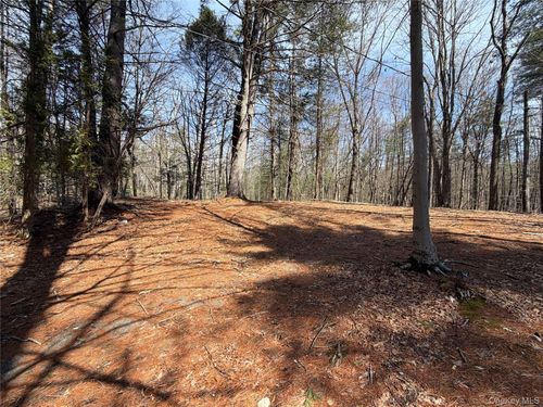 42 Yorkville Park Rd, Bloomingburg, NY, 12721-5314 | Card Image