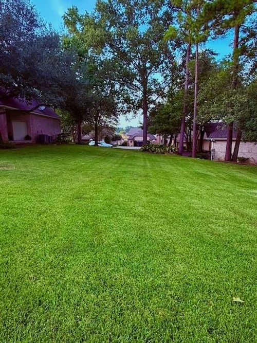 132 Winthrop Hbr S, Montgomery, TX, 77356-8463 | Card Image