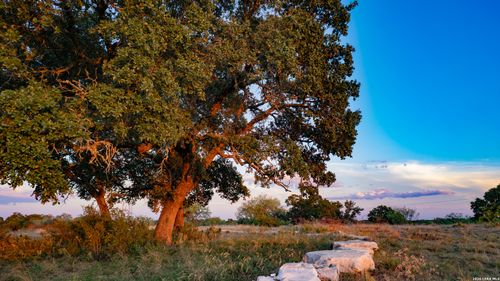 209 Rocky Hollow Rd, San Saba, TX, 76877-2264 | Card Image