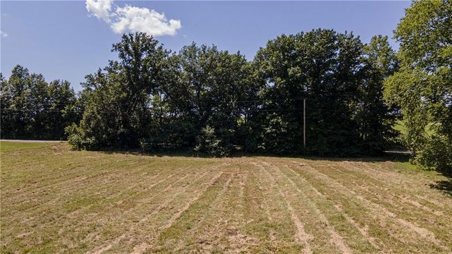 View of grassy yard | Image 10