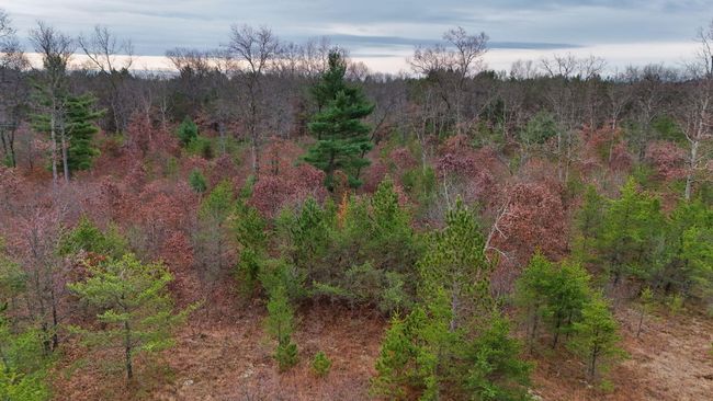 3726 N Custer Rd, Home with 0 bedrooms, 0 bathrooms and null parking in Manistee MI | Image 19