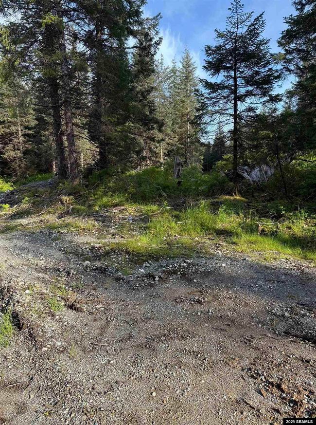 LOT-3-BLOCK-15 - 372 Cedar St., Home with 0 bedrooms, 0 bathrooms and null parking in Yakutat AK | Image 10