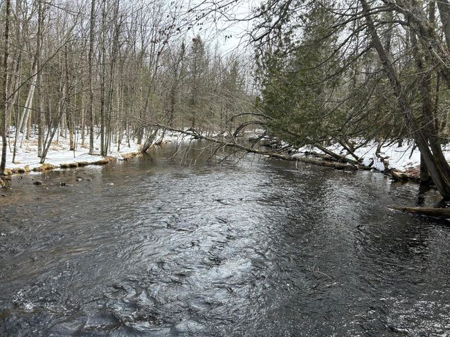 743 Woodlawn Rd, House other with 2 bedrooms, 1 bathrooms and null parking in Pickerel WI | Image 7