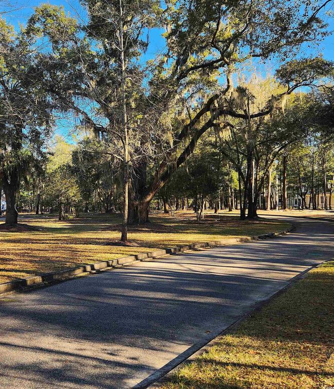 20 Serenity Park Ln, Home with 0 bedrooms, 0 bathrooms and null parking in Georgetown SC | Image 9