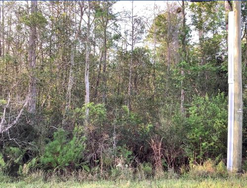 20828 Quinlan St, ORLANDO, FL, 32833-4987 | Card Image