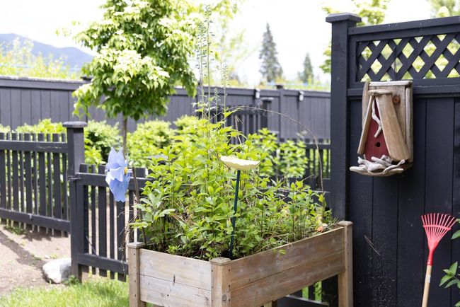 View of yard with a gate, a mountain view, and a vegetable garden | Image 36