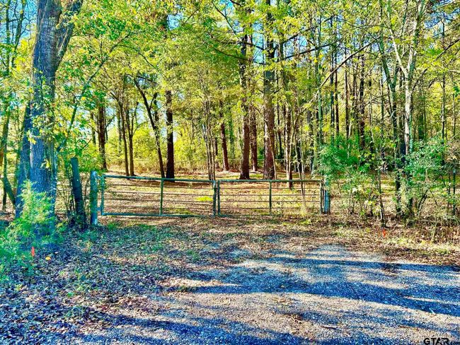 000 Grand View Dr, Home with 0 bedrooms, 0 bathrooms and null parking in Athens TX | Image 8