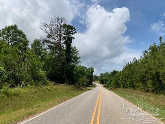 19600 Highway 43, Home with 0 bedrooms, 0 bathrooms and null parking in Grove Hill AL | Image 8