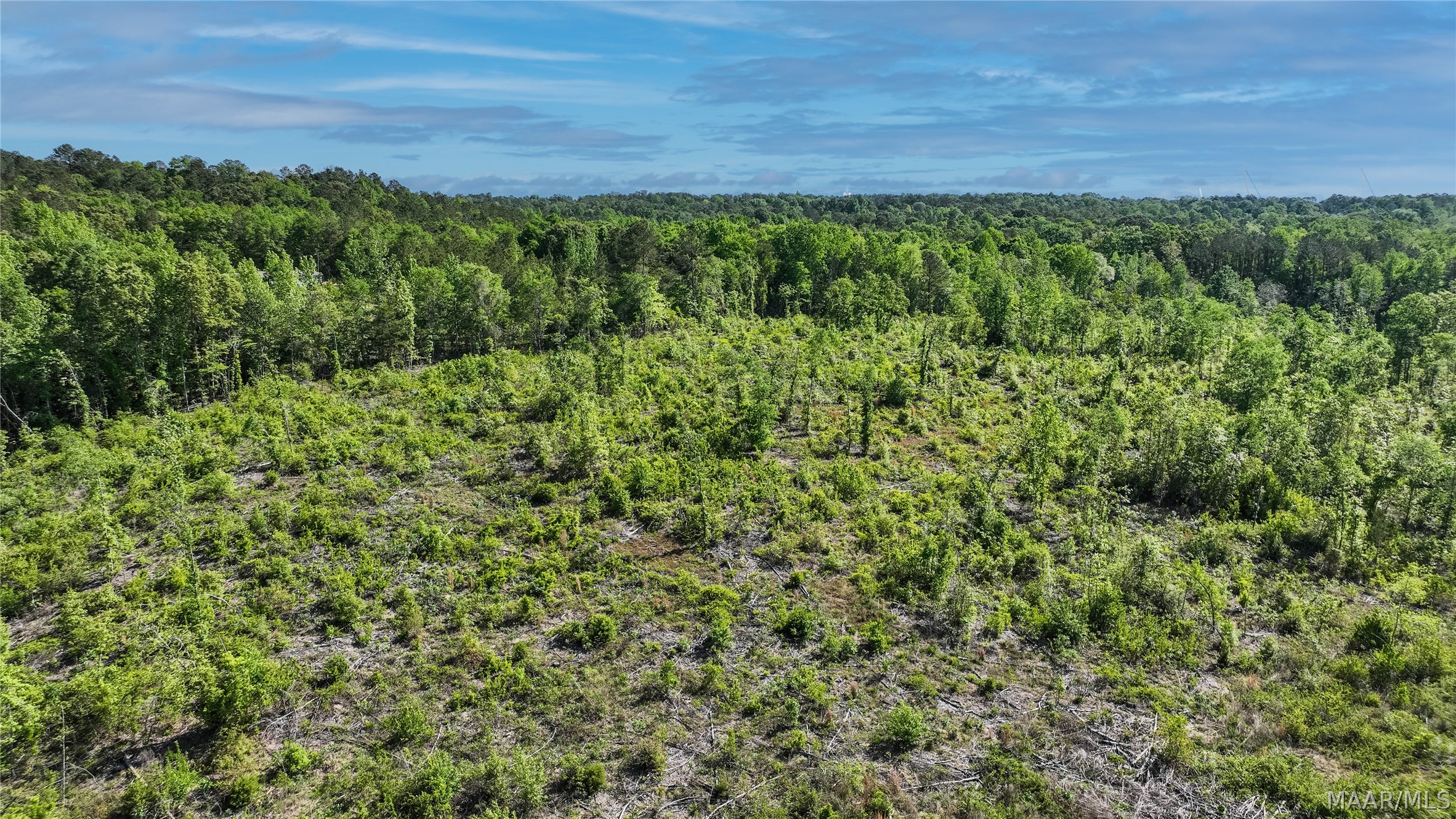 Land in Prattville 5