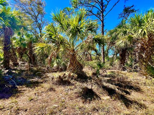 441 Juper St, Port Charlotte, FL, 33953 | Card Image
