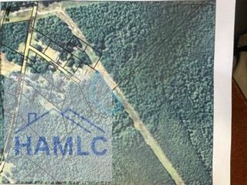 2 Acres Railroad Ave, Alamo, GA, 30411 | Card Image