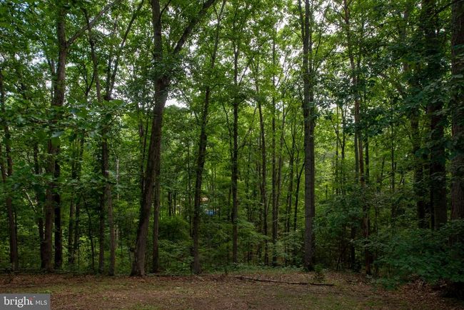 238 David Rd, House other with 3 bedrooms, 2 bathrooms and null parking in MINERAL VA | Image 47