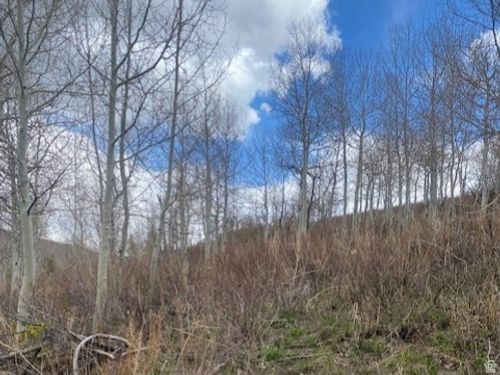 d140a-1117 W Arapaho Dr, Coalville, UT, 84017-6803 | Card Image