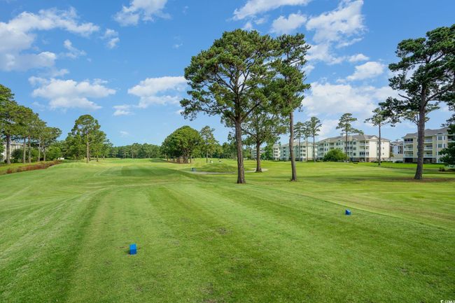 View of community featuring a yard and view of golf course | Image 20