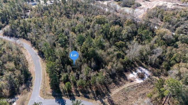 Lot 18 Seven Springs Drive, Home with 0 bedrooms, 0 bathrooms and null parking in Wewahitchka FL | Image 5