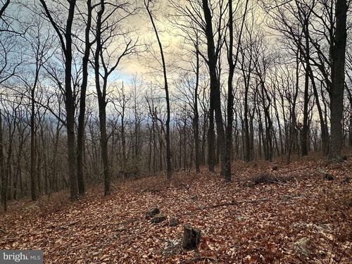 LOT 24 SEC 10 Lawyer Lane, SLANESVILLE, WV, 25444 | Card Image