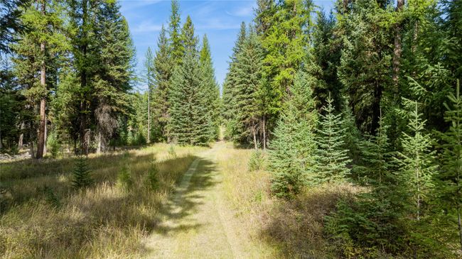 3217 Loon Lake Rd, Home with 0 bedrooms, 0 bathrooms and null parking in Trego MT | Image 30