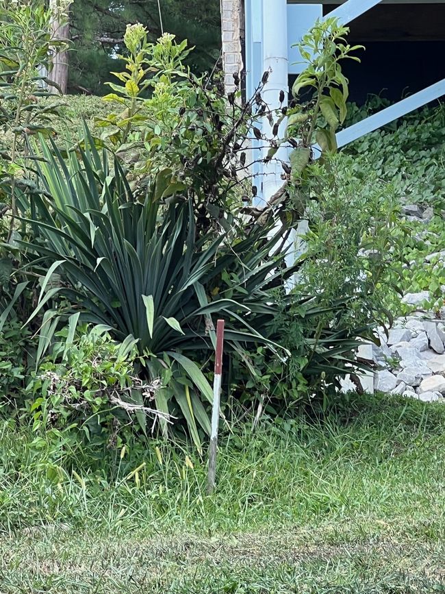 Land marker at top left side of property. | Image 13