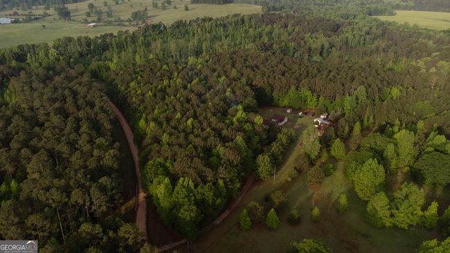 1776 Terrell Rd, House other with 4 bedrooms, 3 bathrooms and null parking in greenville GA | Image 26