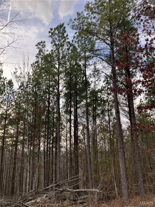 206 Madison St, Fredericktown, MO, 63645-7509 | Card Image