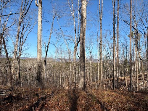 Tract Q The Bear Boulevard, Tamassee, SC, 29686 | Card Image