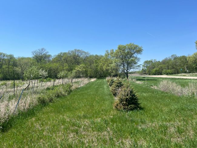 Prairie Land - North View | Image 59