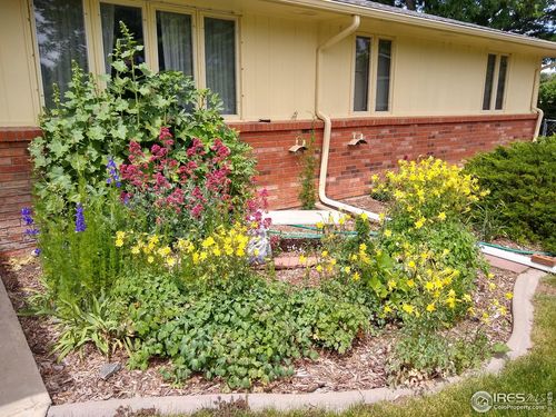 1327 Audubon Pl, Loveland, CO, 80538-4121 | Card Image