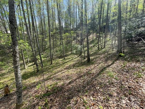 0000 Cawood Ln, Clyde, NC, 28721 | Card Image