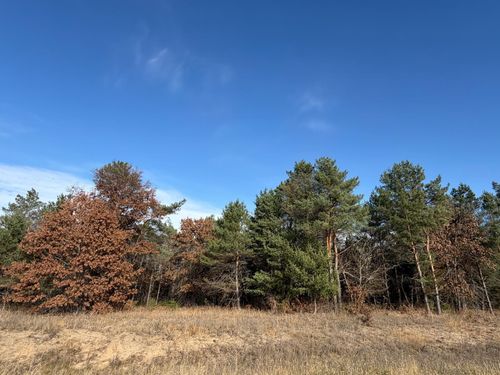 5 262nd Avenue Nw, Orrock Twp, MN, 55309 | Card Image