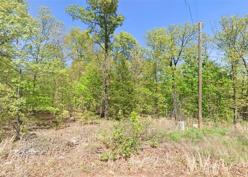 Lot 14 Bonnyrigg Circle, Bella Vista, AR, 72715 | Card Image