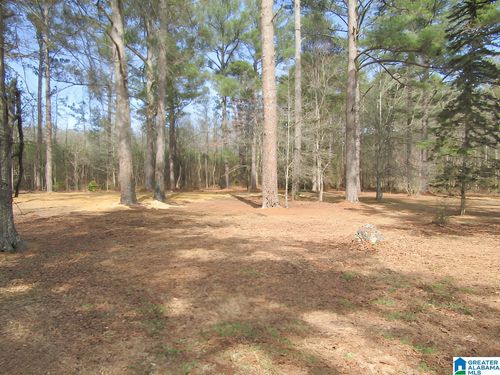 na-4429 Roy Webb Rd, Jacksonville, AL, 36265-8213 | Card Image
