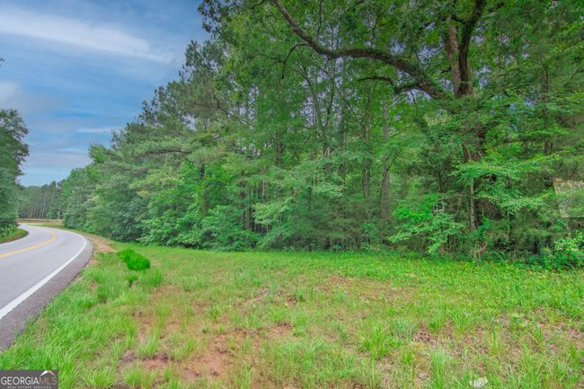 0 Ga Highway 103, Home with 0 bedrooms, 0 bathrooms and null parking in WEST POINT GA | Image 6