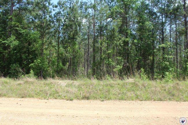 201 Nevada 25, Home with 0 bedrooms, 0 bathrooms and null parking in Rosston AR | Image 10