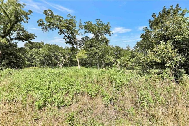 View of tree filled area | Image 5