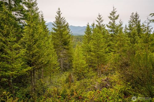 0 N Hamma Ridge Ct, Lilliwaup, WA, 98555 | Card Image