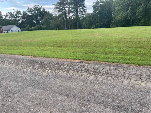 0 Caney Branch Rd, Adamsville, TN, 38310 | Card Image