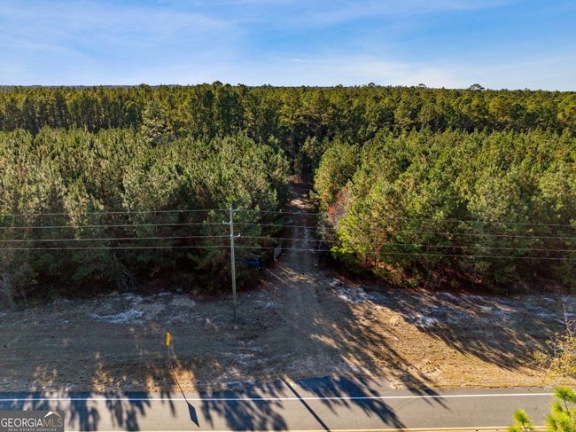 0 Highway 185, Home with 0 bedrooms, 0 bathrooms and null parking in Saint George GA | Image 7