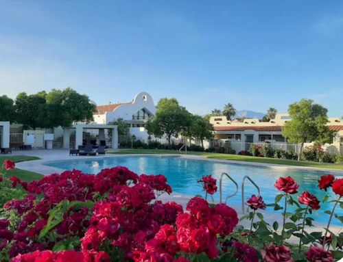 apt-8-1999 W Canyon View Dr, St George, UT, 84770-7430 | Card Image