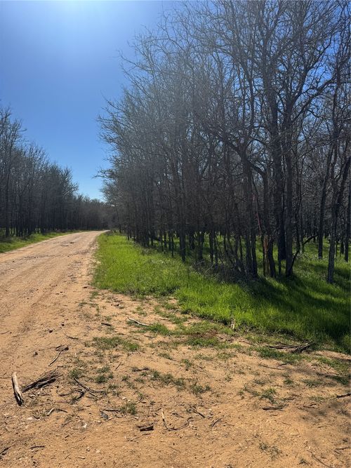Lot 500 Iva Ln, Bastrop, TX, 78602 | Card Image