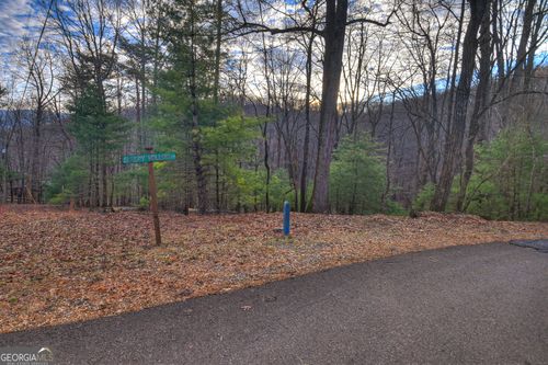 LT M57 Walnut Mountain Ct, Ellijay, GA, 30536 | Card Image