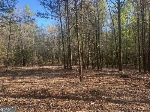 0 Lee Mashburn Rd, Dahlonega, GA, 30533 | Card Image